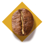 le robusta bean