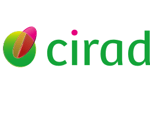 logo cirad