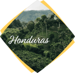 landscape honduras original