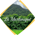 landscape la martinique original
