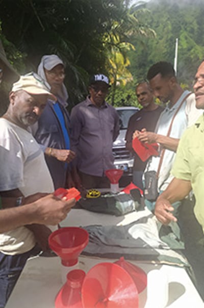 la martinique projet 10