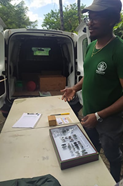 la martinique projet 3