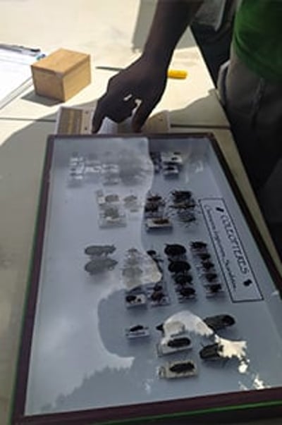 la martinique projet 4