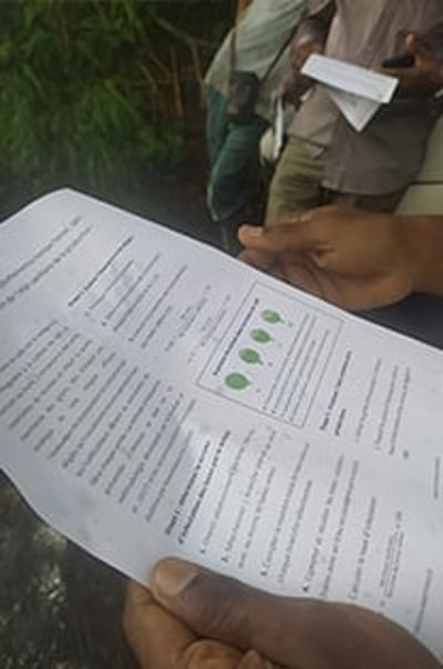 la martinique projet 8