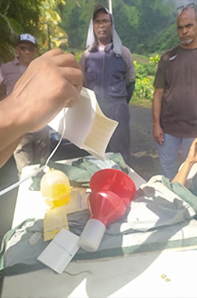 la martinique projet 9