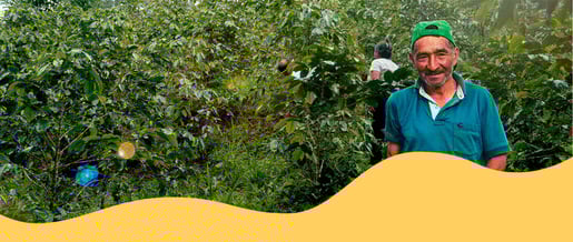 hero banner soutenez les producteurs de cafe