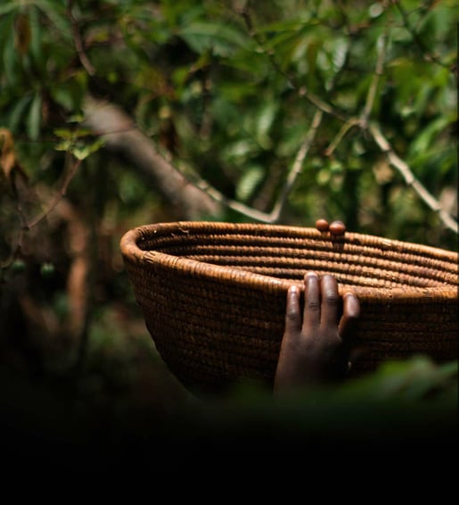 hero banner product harvesting