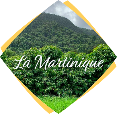 La Martinique